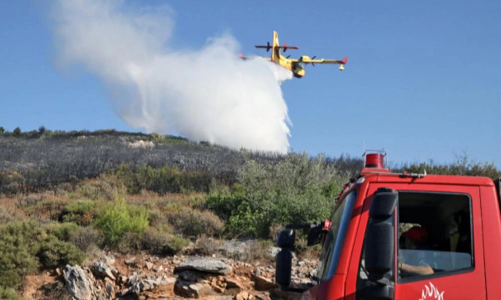 Φωτιά ξέσπασε σε δάσος στο Κατακάλι Κορινθίας